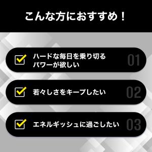 醗酵黒セサミン プレミアム 30日分 DHC ...の詳細画像3