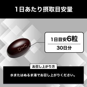 醗酵黒セサミン プレミアム 30日分 DHC ...の詳細画像4