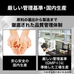 醗酵黒セサミン プレミアム 30日分 DHC ...の詳細画像5