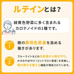 ルテイン 光対策 30日分 機能性表示食品 D...の詳細画像3