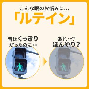 ルテイン 光対策 30日分 機能性表示食品 D...の詳細画像4