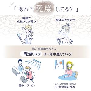 セラミド モイスチュア 30日分 機能性表示食...の詳細画像2