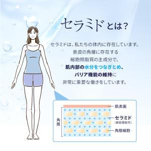 セラミド モイスチュア 30日分 機能性表示食...の詳細画像4
