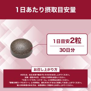 大豆イソフラボン 吸収型 30日分 DHC 公...の詳細画像4