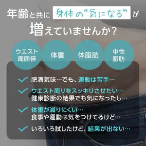 ウエスト気になる 30日分 機能性表示食品 D...の詳細画像3