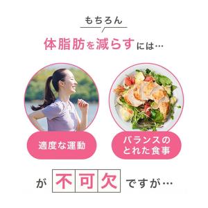 ウエスト気になる 30日分 機能性表示食品 D...の詳細画像4