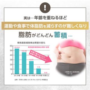 ウエスト気になる 30日分 機能性表示食品 D...の詳細画像5