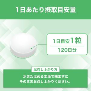 ビタミンD 30日 DHC 公式 最短即時発送...の詳細画像4