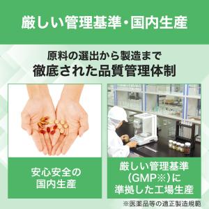 ビタミンD 30日 DHC 公式 最短即時発送...の詳細画像5