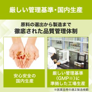 メリロートPlus 30日分 DHC 公式 最...の詳細画像5