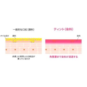dhc 【 DHC 公式 】 DHCリップケア...の詳細画像3