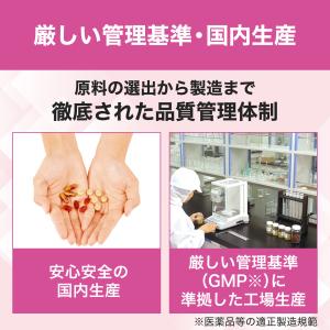 ビタミンBミックス 徳用90日分 DHC 公式...の詳細画像5