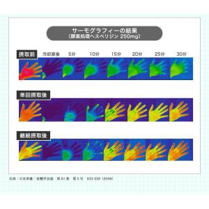 dhc サプリ 【 DHC 公式 】 マッタン...の詳細画像2
