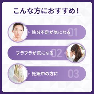 ヘム鉄 徳用 90日分 栄養機能食品( 鉄 ・...の詳細画像3