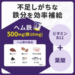 ヘム鉄 徳用 90日分 栄養機能食品( 鉄 ・...の詳細画像5