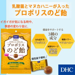 【 DHC 公式 】乳酸菌とマヌカハニーが入っ...の詳細画像1