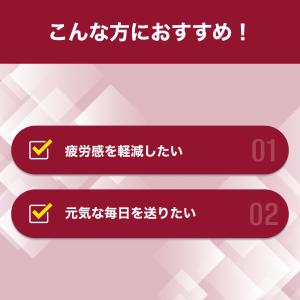 イミダゾール 疲労感対策 30日分機能性表示食...の詳細画像2