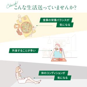 dhc サプリ ビタミン ビタミンc 【 DH...の詳細画像5