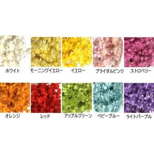 在庫有り　メーカー欠品中につきご注文はお急ぎください　スターフラワーミニ　ドライフラワー　花材　全１０色　