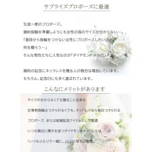 一粒ネックレス 0.4ct D VS1 EX ...の詳細画像3