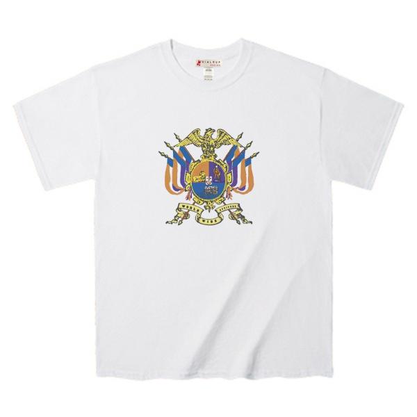 Ｔシャツ 古典的 紋章にありそうで無いポイント デザインTee