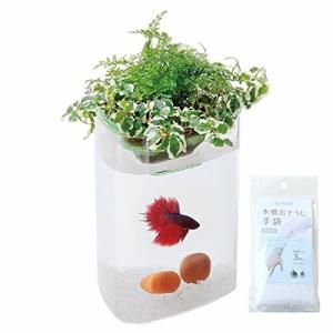 ベタ 水槽 おしゃれ 水槽 の商品一覧 熱帯魚 アクアリウム用品 ペット用品 生き物 通販 Yahoo ショッピング