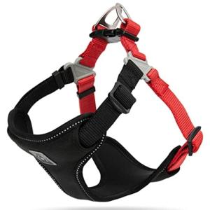 cocomall TRUE LOVE専門販売店 犬用ハーネス 犬用胴輪  ドッグ ペット用品 ハーネスリード  3M反射材料 訓