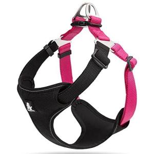 cocomall TRUE LOVE専門販売店 犬用ハーネス 犬用胴輪  ドッグ ペット用品 ハーネスリード  3M反射材料 訓