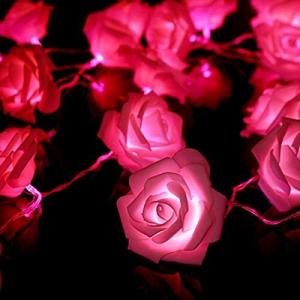 ligangamイルミネーションLED ライトストリングライト 20球 2m バラ電飾 雰囲気作り 屋内屋外 ホームパーティー/