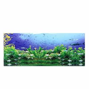 ダイヤモンドスナップ 水槽 アクアリウム 熱帯魚 観賞魚 Yahoo ショッピング