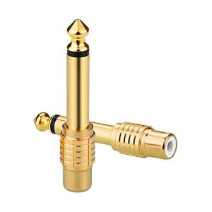 RCA Borsuer メス to 6.35mm