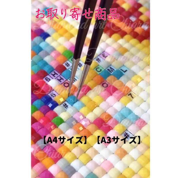 ダイヤモンドアートのダイヤモンドアート　A4サイズ(21×29.7cm）・A3サイズ（29.7×42...