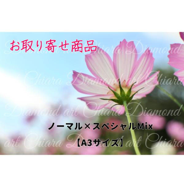 ノーマル×スペシャルMix コスモス〜乙女の純真〜　A3サイズ(29.7×42cm) スクエア