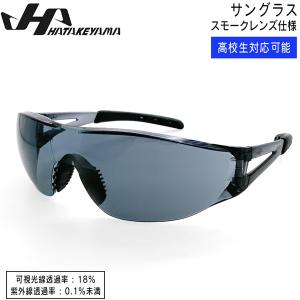 サングラス 野球 HATAKEYAMA ハタケヤマ スモークレンズ仕様 高校生対応可能 ケース付 限定 SG-24SB｜diamond-sports