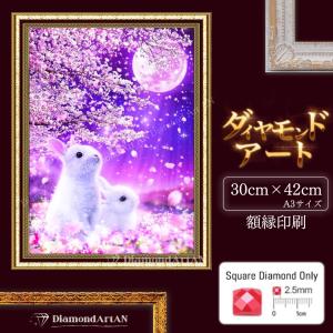 AM-248 ダイヤモンドアート ビーズアート 月　うさぎ　