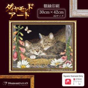 AM-256 ダイヤモンドアート 猫 ペット 額...の商品画像