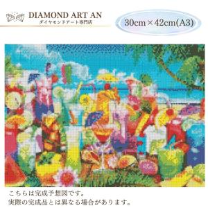 AM-269 ダイヤモンドアート 風景 フルー...の詳細画像1
