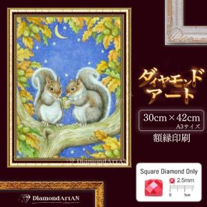 AM-287 ダイヤモンドアート キット うさぎ ラビット 額縁印刷 A3