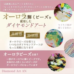 【オーロラビーズ使用】AMAB-29 ダイヤモ...の詳細画像2