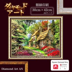 AM-156 ダイヤモンドアート ビーズアート カラフル 曼荼羅 風水 額縁