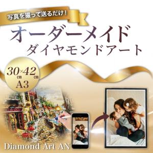 AM-50 ダイヤモンドアート ビーズアート 美女 野獣 花