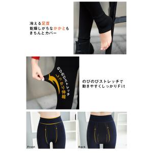裏起毛 レギンス パンツ タイツ 極暖 レディ...の詳細画像3