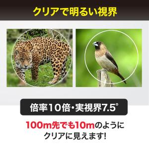 双眼鏡 コンサート オペラグラス ドーム ライ...の詳細画像1