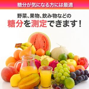糖度計 ATC 温度自動補正機能 Brix0〜...の詳細画像3