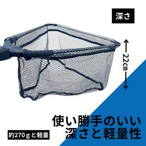 アズーロ ランガンマルチネット タモ枠 網 ラ...の詳細画像4