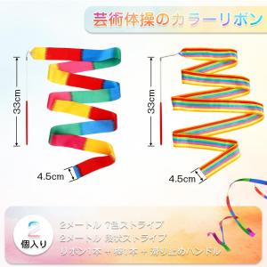 スポーツリボン 2個入り 体操用具 バレエリボ...の詳細画像1