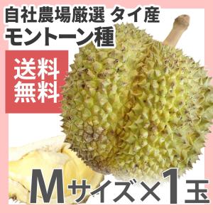 ドリアン モントーン種 タイ産 2玉 生鮮 Xlサイズ 送料無料 4g Cgth 3s8p ダイヤモンドスターヤフー店 通販 Yahoo ショッピング
