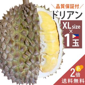 毎週輸入中！ フィリピン産 ドリアン XLサイズ 1玉 2kg〜