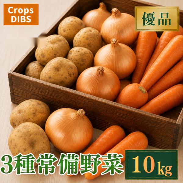 3種常備野菜セット 10kg 野菜詰め合わせ じゃがいも 玉ねぎ 人参 市場直送