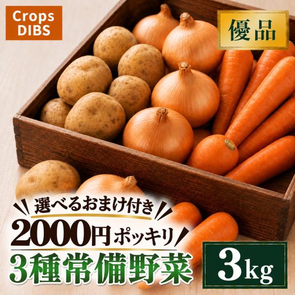 3種常備野菜セット 3kg 野菜詰め合わせ じゃがいも 玉ねぎ 人参 市場直送 2000円ポッキリ ...